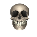 skull1