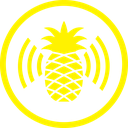 wifi_pineapple