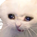 CryCat