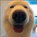 floof_happy