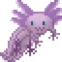 Axolotl