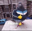 el_panaeduardo