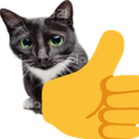 thumbsupcat