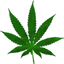 weed