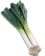 leek