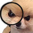 AngeryDetectiveBoye