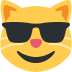 sunglasses_cat