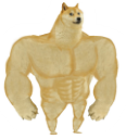 5009strongdoge