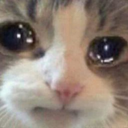 cry_cat