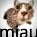 miau