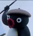 pingu_pog