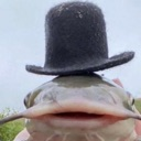 fishhat