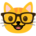 nerdcat