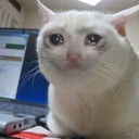 CryingCat