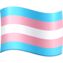 trans_flag2