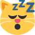 sleep_cat