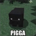 pigga